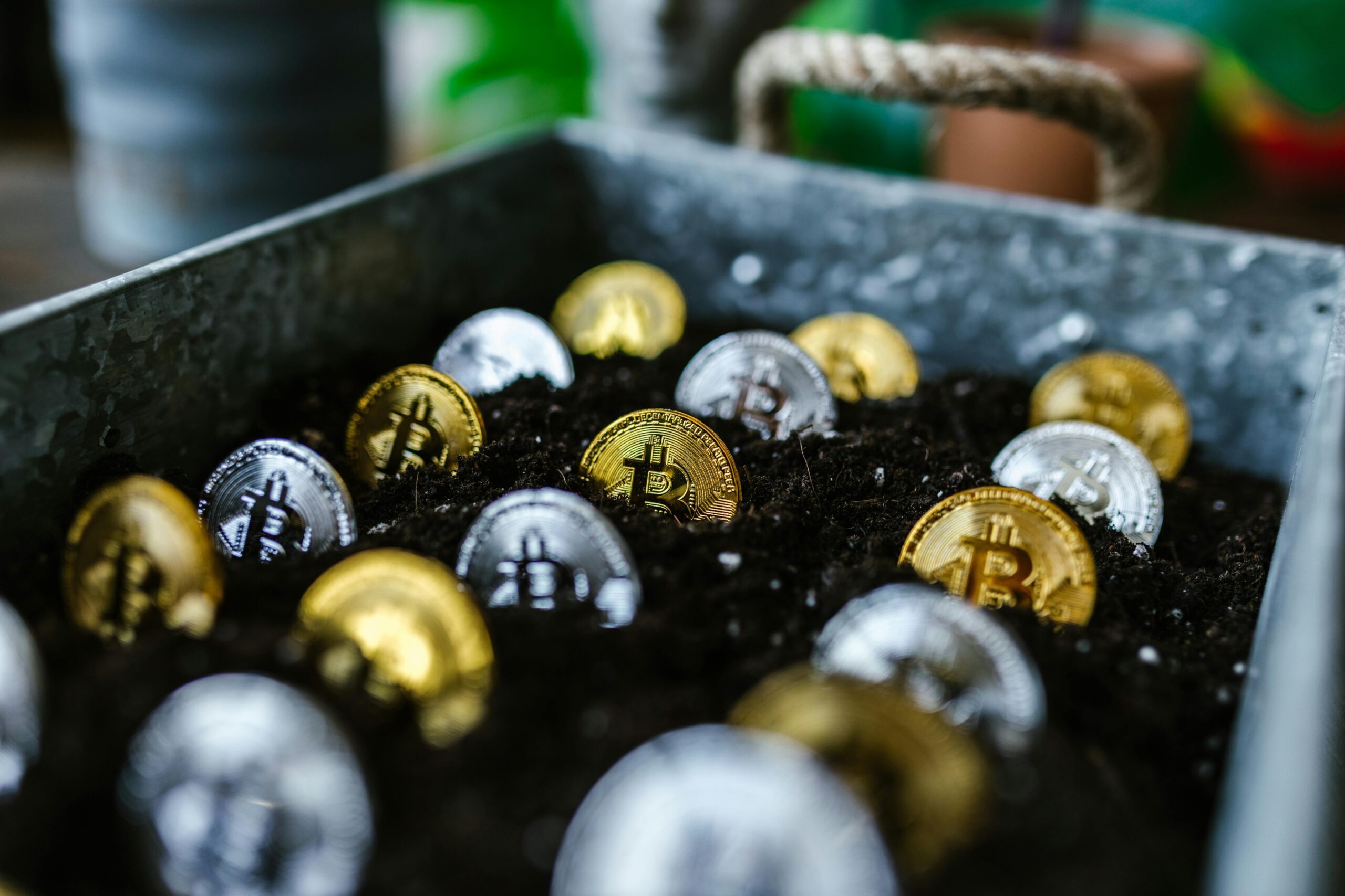 Bitcoin coins buried in soil, evoking monetary scarcity