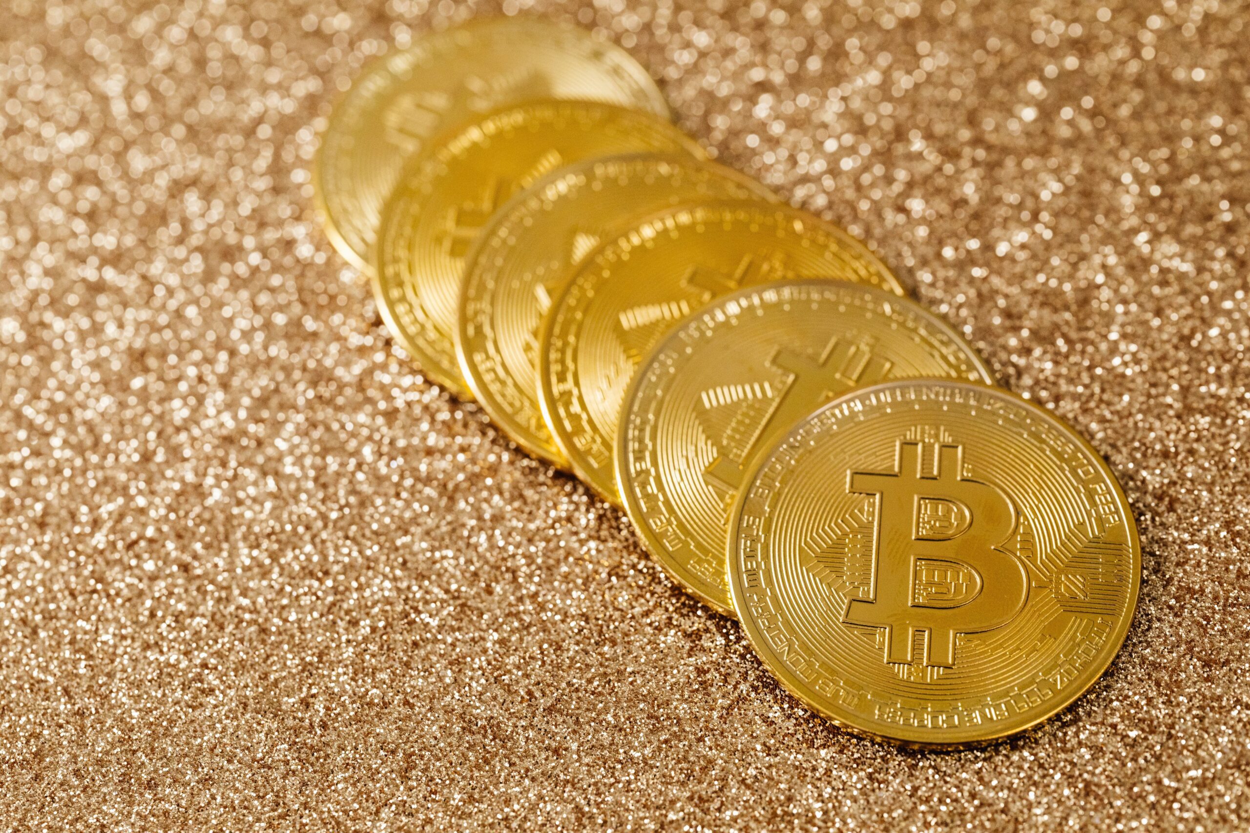 A pair of gold Bitcoin coins on a dark surface, quiet as if remembering an absent author