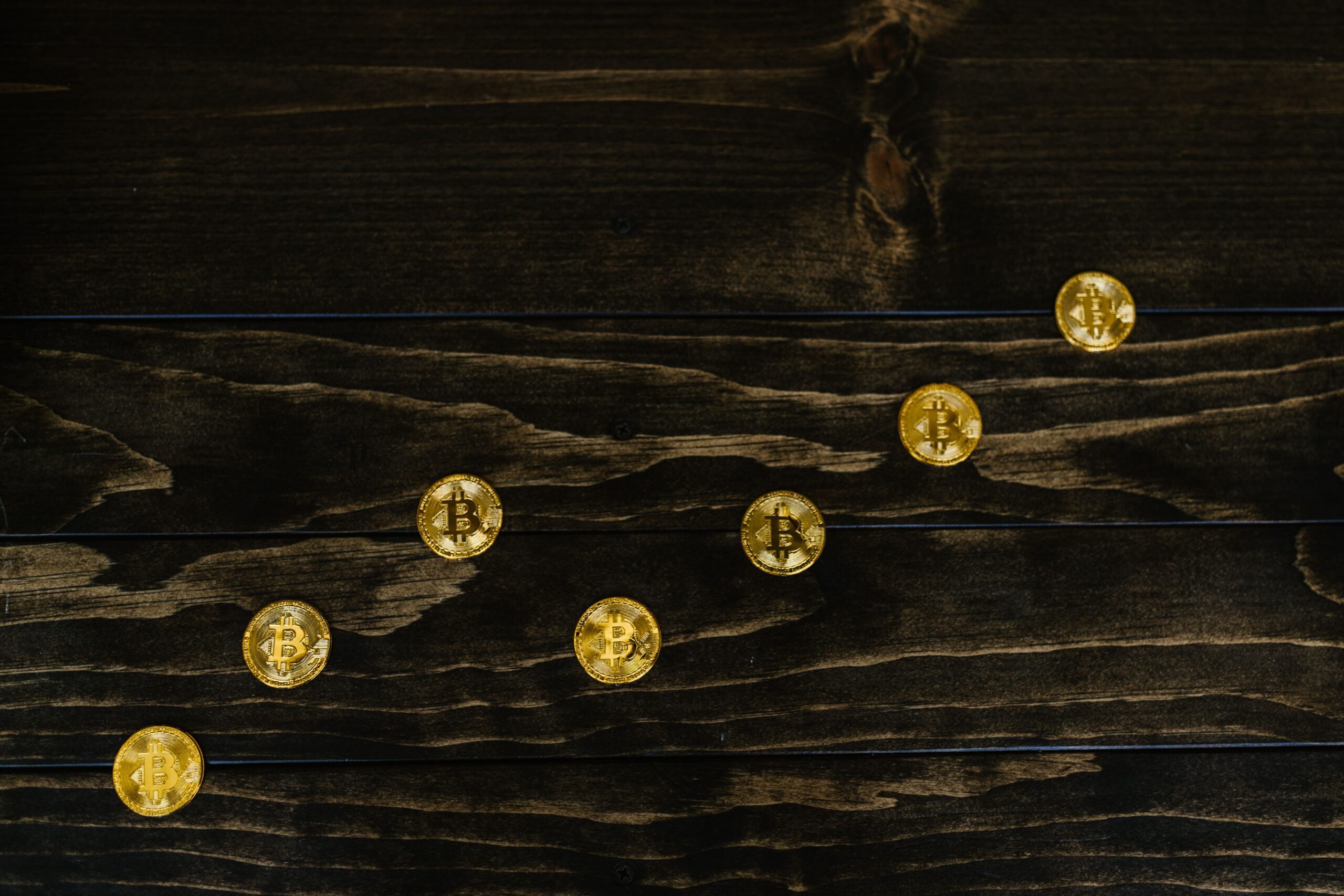 Golden bitcoins arranged on rough wooden planks, evoking the timber of an ark under construction